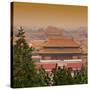 China 10MKm2 Collection - Forbidden City at sunset - Beijing-Philippe Hugonnard-Stretched Canvas