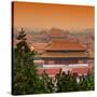 China 10MKm2 Collection - Forbidden City at sunset - Beijing-Philippe Hugonnard-Stretched Canvas