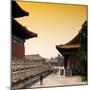 China 10MKm2 Collection - Forbidden City at sunset-Philippe Hugonnard-Mounted Photographic Print