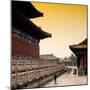 China 10MKm2 Collection - Forbidden City at sunset-Philippe Hugonnard-Mounted Photographic Print