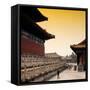 China 10MKm2 Collection - Forbidden City at sunset-Philippe Hugonnard-Framed Stretched Canvas
