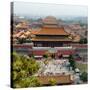 China 10MKm2 Collection - Forbidden City - Beijing-Philippe Hugonnard-Stretched Canvas