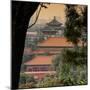 China 10MKm2 Collection - Forbidden City - Beijing-Philippe Hugonnard-Mounted Photographic Print