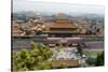 China 10MKm2 Collection - Forbidden City - Beijing-Philippe Hugonnard-Stretched Canvas