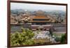 China 10MKm2 Collection - Forbidden City - Beijing-Philippe Hugonnard-Framed Photographic Print