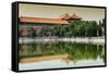 China 10MKm2 Collection - Forbidden City-Philippe Hugonnard-Framed Stretched Canvas