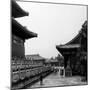 China 10MKm2 Collection - Forbidden City-Philippe Hugonnard-Mounted Photographic Print