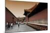 China 10MKm2 Collection - Forbidden City-Philippe Hugonnard-Mounted Photographic Print