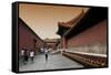 China 10MKm2 Collection - Forbidden City-Philippe Hugonnard-Framed Stretched Canvas