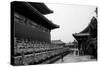 China 10MKm2 Collection - Forbidden City-Philippe Hugonnard-Stretched Canvas
