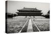 China 10MKm2 Collection - Forbidden City-Philippe Hugonnard-Stretched Canvas