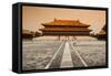 China 10MKm2 Collection - Forbidden City-Philippe Hugonnard-Framed Stretched Canvas