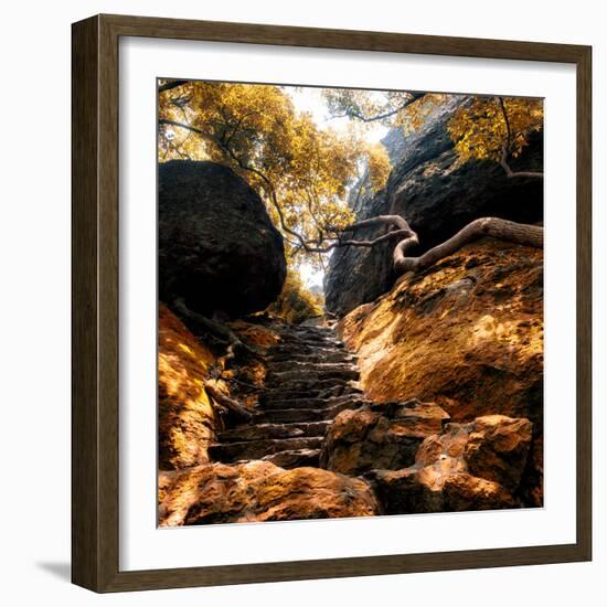 China 10MKm2 Collection - Forest ray of light in Autumn-Philippe Hugonnard-Framed Photographic Print