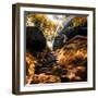 China 10MKm2 Collection - Forest ray of light in Autumn-Philippe Hugonnard-Framed Photographic Print