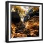 China 10MKm2 Collection - Forest ray of light in Autumn-Philippe Hugonnard-Framed Photographic Print