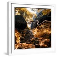 China 10MKm2 Collection - Forest ray of light in Autumn-Philippe Hugonnard-Framed Photographic Print