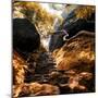 China 10MKm2 Collection - Forest ray of light in Autumn-Philippe Hugonnard-Mounted Photographic Print