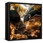 China 10MKm2 Collection - Forest ray of light in Autumn-Philippe Hugonnard-Framed Stretched Canvas