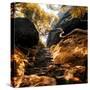 China 10MKm2 Collection - Forest ray of light in Autumn-Philippe Hugonnard-Stretched Canvas