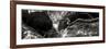 China 10MKm2 Collection - Forest ray of light-Philippe Hugonnard-Framed Photographic Print