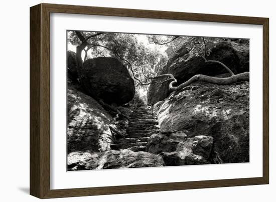 China 10MKm2 Collection - Forest ray of light-Philippe Hugonnard-Framed Photographic Print