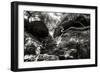 China 10MKm2 Collection - Forest ray of light-Philippe Hugonnard-Framed Photographic Print