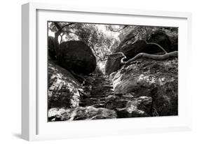 China 10MKm2 Collection - Forest ray of light-Philippe Hugonnard-Framed Photographic Print