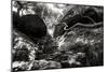 China 10MKm2 Collection - Forest ray of light-Philippe Hugonnard-Mounted Photographic Print