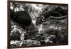 China 10MKm2 Collection - Forest ray of light-Philippe Hugonnard-Framed Photographic Print