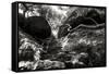 China 10MKm2 Collection - Forest ray of light-Philippe Hugonnard-Framed Stretched Canvas