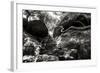 China 10MKm2 Collection - Forest ray of light-Philippe Hugonnard-Framed Photographic Print