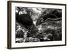 China 10MKm2 Collection - Forest ray of light-Philippe Hugonnard-Framed Photographic Print