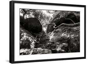 China 10MKm2 Collection - Forest ray of light-Philippe Hugonnard-Framed Photographic Print