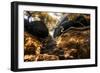 China 10MKm2 Collection - Forest ray of light-Philippe Hugonnard-Framed Photographic Print