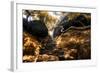 China 10MKm2 Collection - Forest ray of light-Philippe Hugonnard-Framed Photographic Print