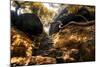 China 10MKm2 Collection - Forest ray of light-Philippe Hugonnard-Mounted Photographic Print