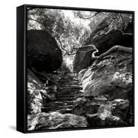 China 10MKm2 Collection - Forest ray of light-Philippe Hugonnard-Framed Stretched Canvas