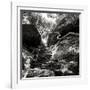 China 10MKm2 Collection - Forest ray of light-Philippe Hugonnard-Framed Photographic Print