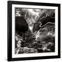 China 10MKm2 Collection - Forest ray of light-Philippe Hugonnard-Framed Photographic Print