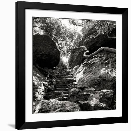 China 10MKm2 Collection - Forest ray of light-Philippe Hugonnard-Framed Photographic Print