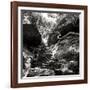 China 10MKm2 Collection - Forest ray of light-Philippe Hugonnard-Framed Photographic Print