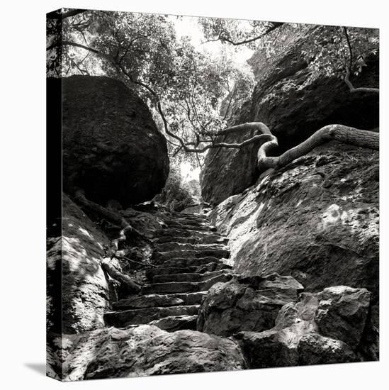 China 10MKm2 Collection - Forest ray of light-Philippe Hugonnard-Stretched Canvas