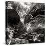 China 10MKm2 Collection - Forest ray of light-Philippe Hugonnard-Stretched Canvas