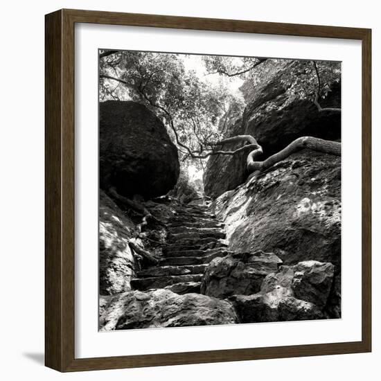 China 10MKm2 Collection - Forest ray of light-Philippe Hugonnard-Framed Photographic Print