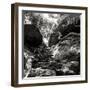 China 10MKm2 Collection - Forest ray of light-Philippe Hugonnard-Framed Photographic Print