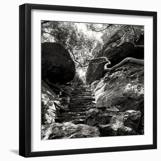 China 10MKm2 Collection - Forest ray of light-Philippe Hugonnard-Framed Photographic Print