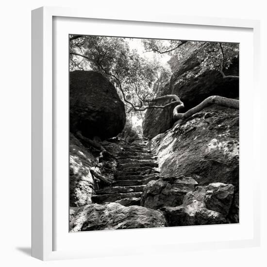 China 10MKm2 Collection - Forest ray of light-Philippe Hugonnard-Framed Photographic Print