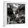 China 10MKm2 Collection - Forest ray of light-Philippe Hugonnard-Framed Photographic Print