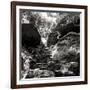 China 10MKm2 Collection - Forest ray of light-Philippe Hugonnard-Framed Photographic Print