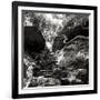 China 10MKm2 Collection - Forest ray of light-Philippe Hugonnard-Framed Photographic Print